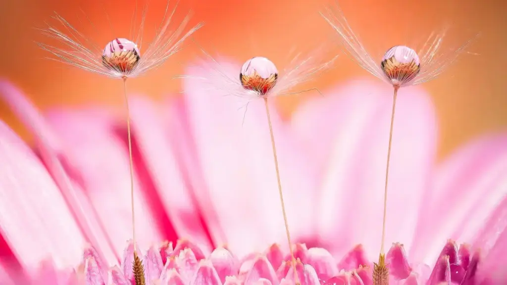 Isifundo esisebenzayo saseNingizimu Afrika sokuxhuma nabadali base-US ku-Xiaohongshu — izinyathelo, amathuluzi, nokwenziwa kwenethiwekhi.