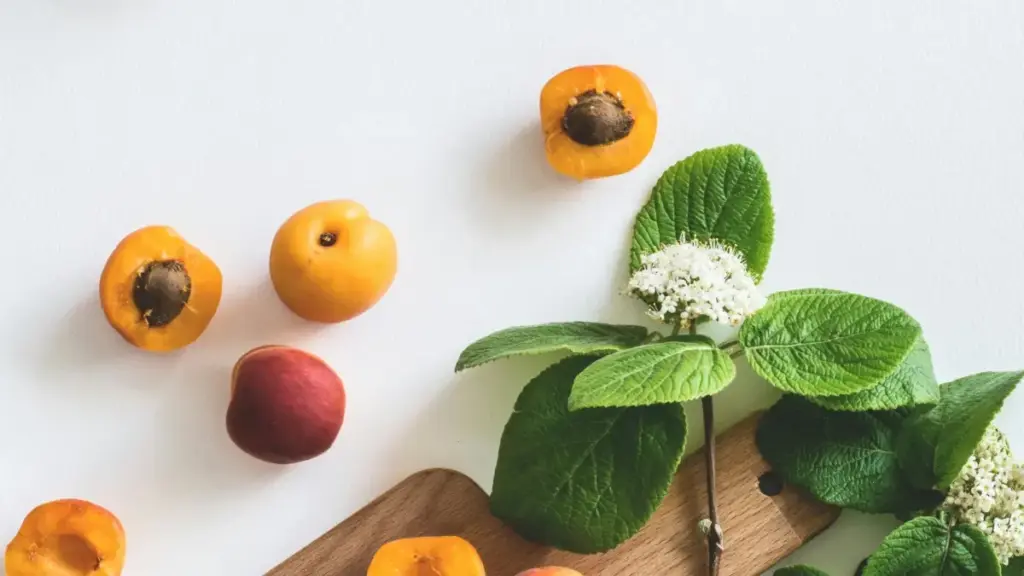 Isu elisebenzayo lokuxhumana nezimpawu zaseNingizimu Afrika ku-Kuaishou, ukucacisa izinzuzo zemikhiqizo yakho ngendlela ecacile, ethembekile, nefanele isiko.