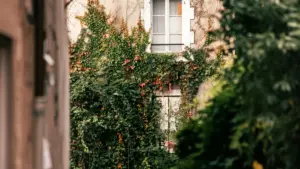 Isiqondisi esisebenzayo sokuthola nokusebenzisa WeChat creators baseDenmark ukushayela abasebenzisi ku-fitness apps — amasu, iziteshi, nezinyathelo ezisebenzayo eziqondene nabakhangeli baseNingizimu Afrika.