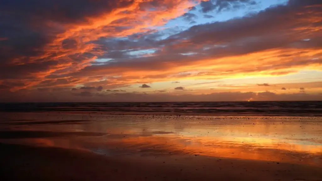 Izinyathelo ezisebenzayo zokuxhumana namabhizinisi ase-India ku-Telegram ukuze wenze ama-song reaction videos — amathiphu, izibonelo zomkhankaso, nobungozi bokulandwa kwamavidiyo.