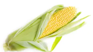 Isiqondisi esisebenzayo sokuxhumana nama-Malta brands ku-Etsy ukuze uhlele ama-live brand demos — amasu angaphandle kweplathfomu, uxhumano lwendawo, nezincomo ze-VPN.