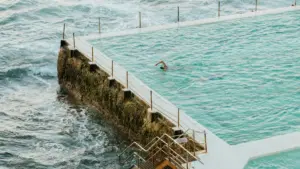 Funda ukuthi ungabathola kanjani abakwaRumble baseNorway ukuze usize ukwethula imikhiqizo yobuhle ngokushesha, ngobuqotho nangokwakha umsindo.