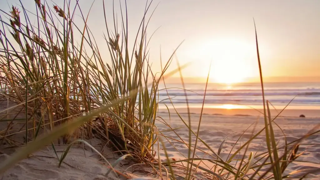 Amaqhinga asebenzayo okuthola ama-creators ase-Portugal ku-Bilibili ukuze usebenzise ama-sales e-seasonal, ukhetha kahle, futhi ugweme ukuchitha imali nge-hype engenamphumela.