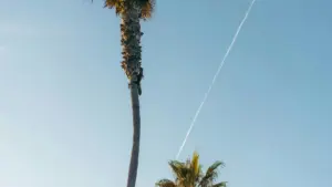 Indlela esheshayo yokuthola abadali base-Argentina, ukwakha ama-micro influencer partnerships, nokugwema ukuchitha isabelomali sakho.